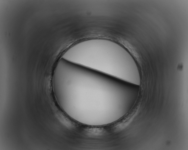 X0000102470449200808081013