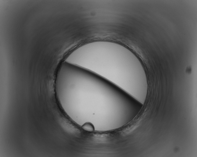 X0000102470450200808081013