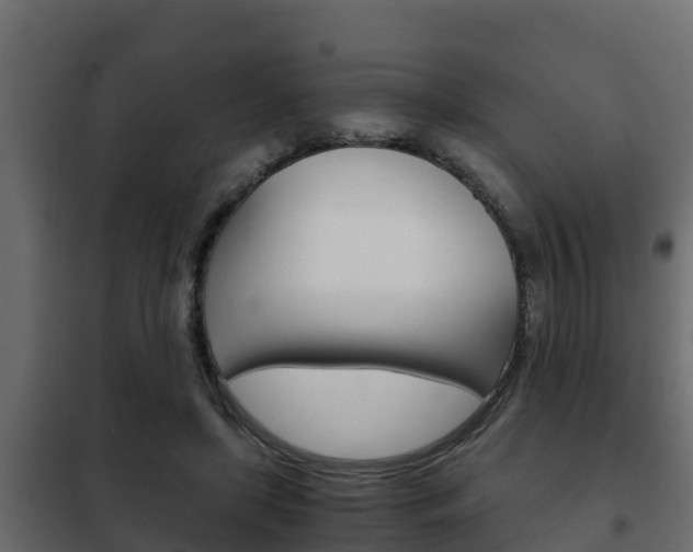 X0000102470451200808081013