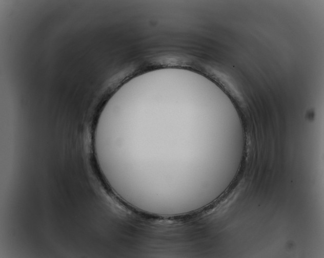 X0000102470453200808081013