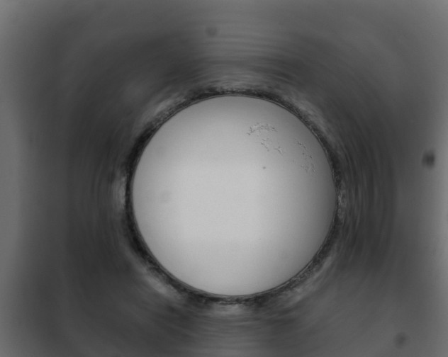 X0000102470454200808081013