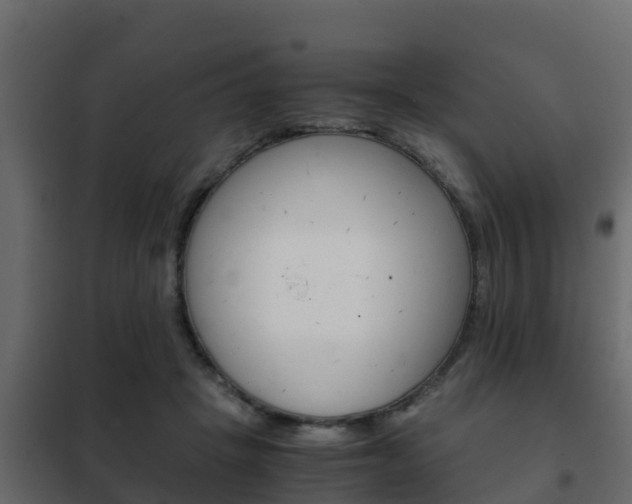 X0000102470457200808081013