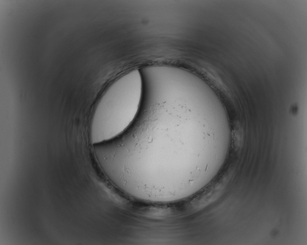 X0000102470458200808081013
