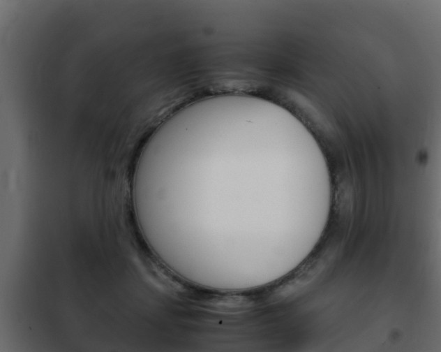 X0000102470459200808081013
