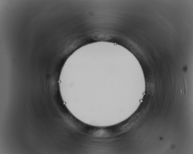X0000102470460200808081013