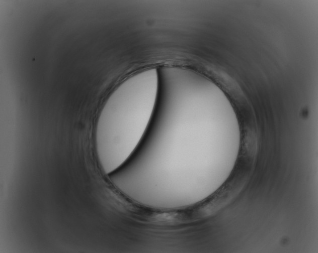 X0000102470461200808081013