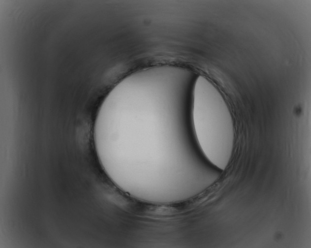 X0000102470463200808081013
