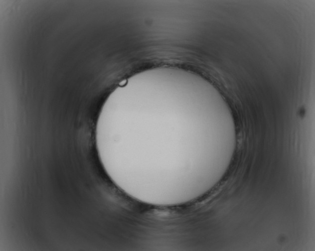 X0000102470464200808081013