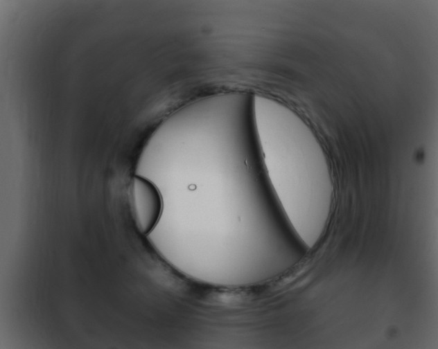 X0000102470466200808081013