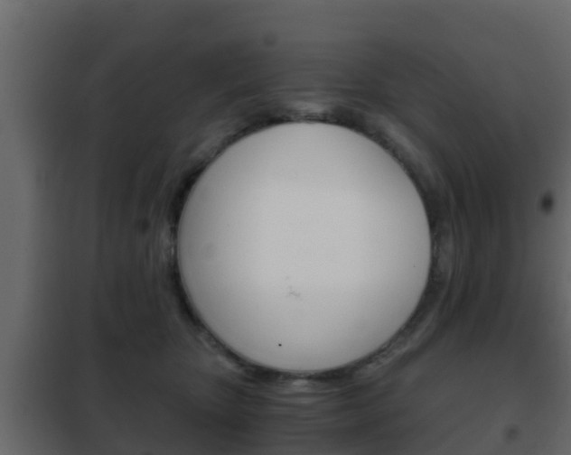 X0000102470467200808081013