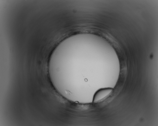 X0000102470469200808081013
