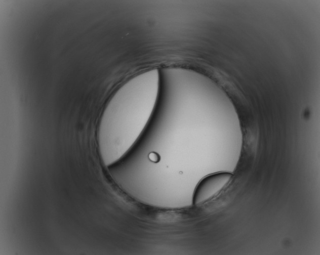 X0000102470470200808081013