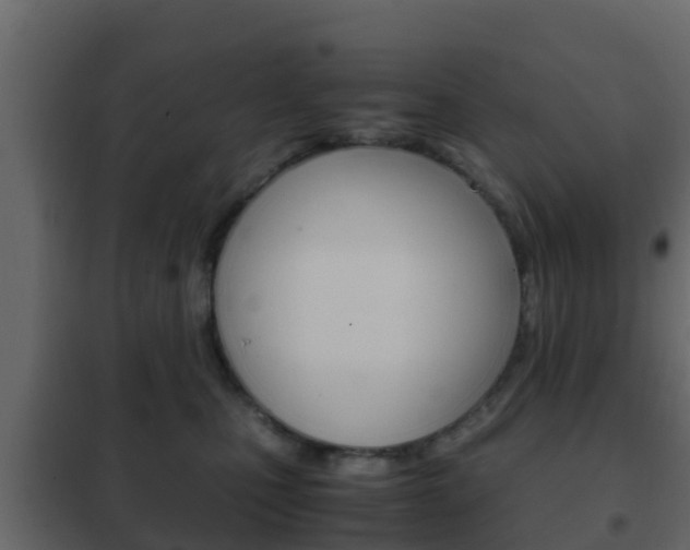 X0000102470471200808081013