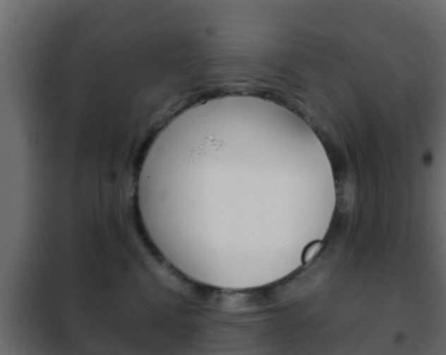 X0000102470472200808081013