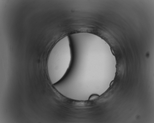 X0000102470473200808081013