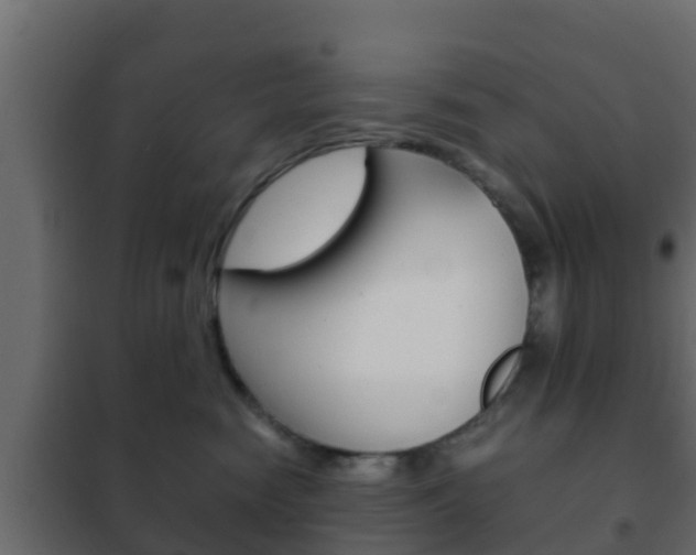X0000102470474200808081013