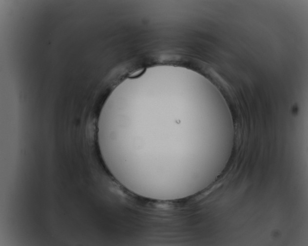 X0000102470475200808081013