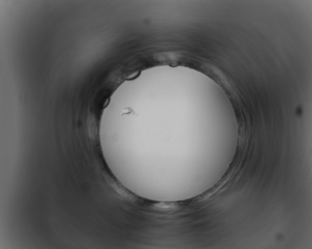X0000102470477200808081013