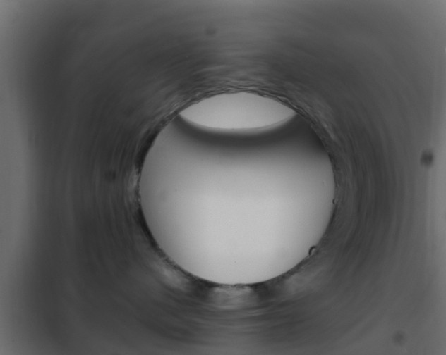 X0000102470480200808081014