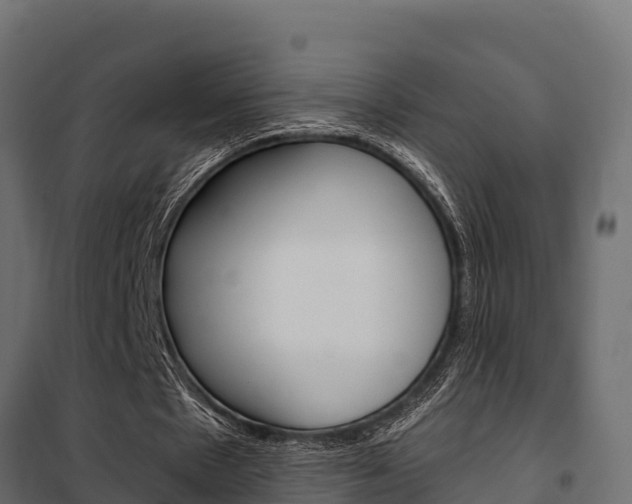 X0000102470481200808081013