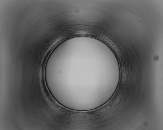 X0000102470482200808081013
