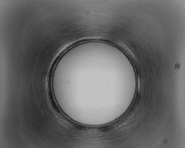 X0000102470483200808081013