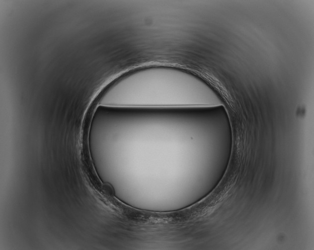 X0000102470484200808081013