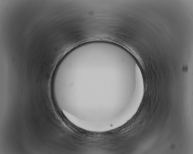 X0000102470485200808081013