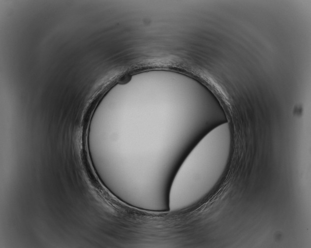 X0000102470486200808081013
