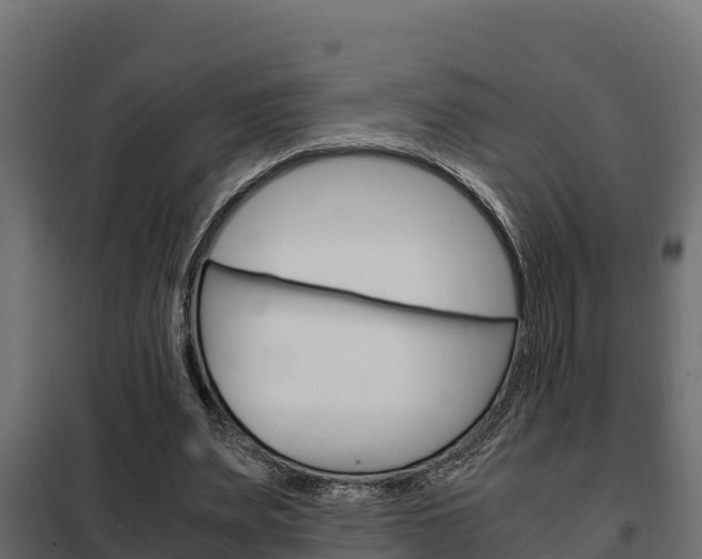 X0000102470487200808081013