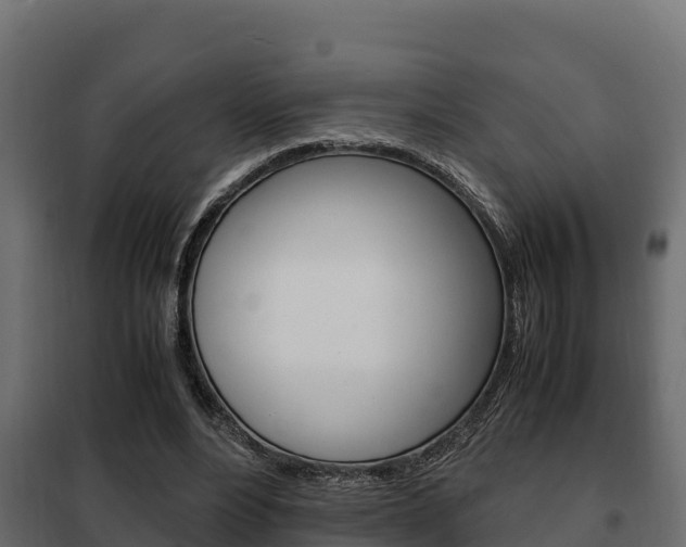 X0000102470488200808081013