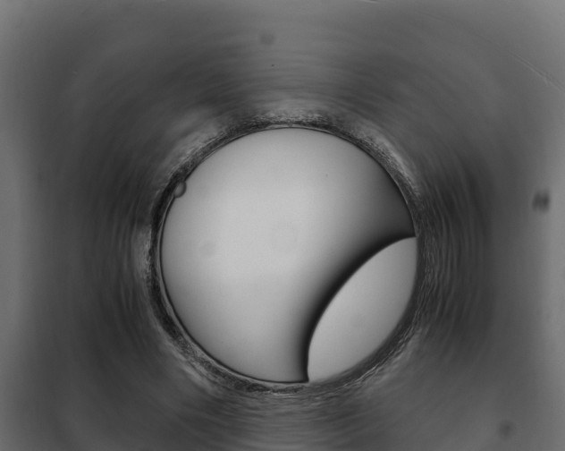 X0000102470490200808081013