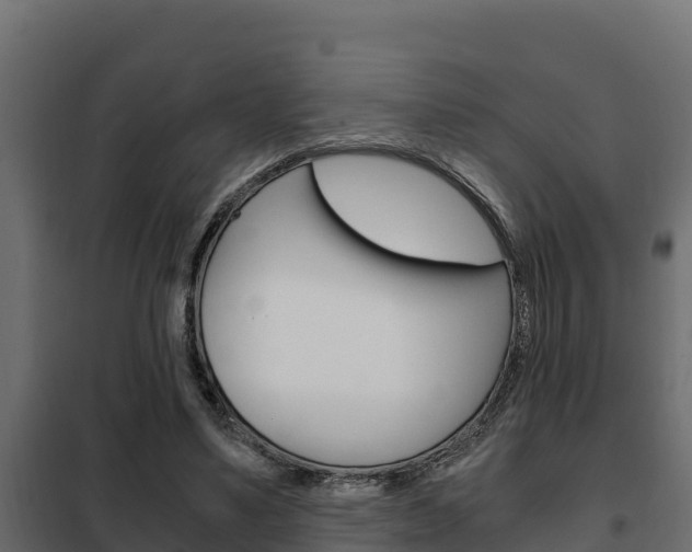 X0000102470491200808081013