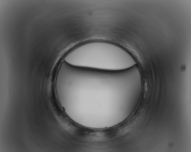 X0000102470492200808081013