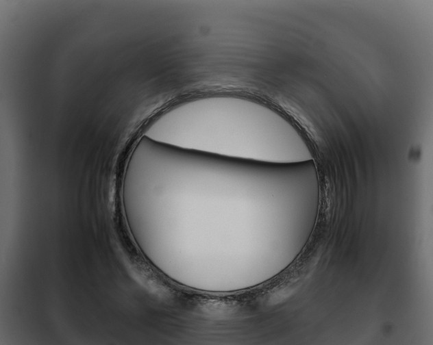 X0000102470494200808081013