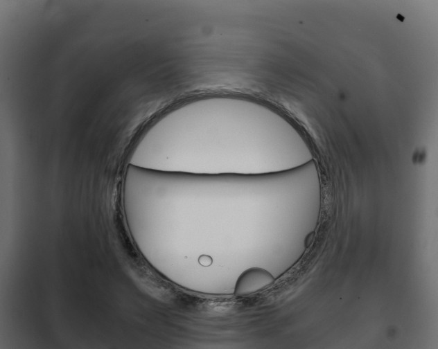 X0000102470495200808081012