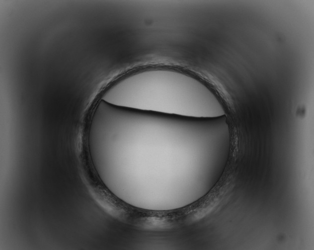 X0000102470496200808081012