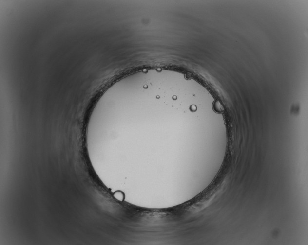 X0000102470497200808081012