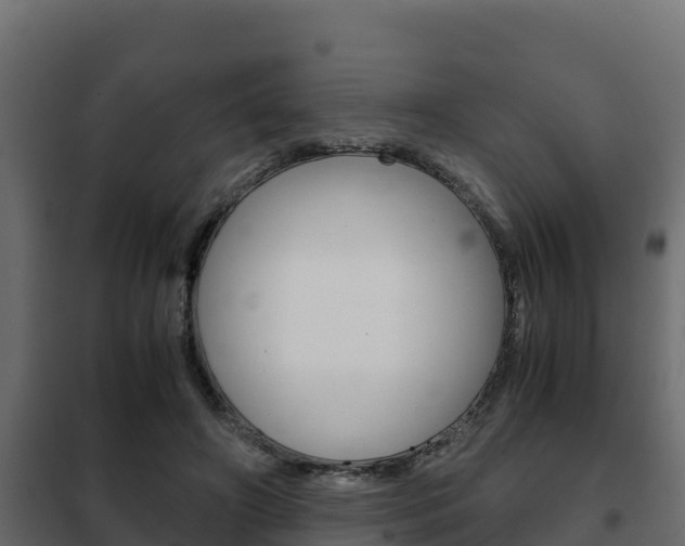 X0000102470498200808081012