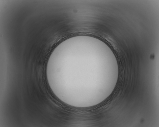 X0000102470499200808081012