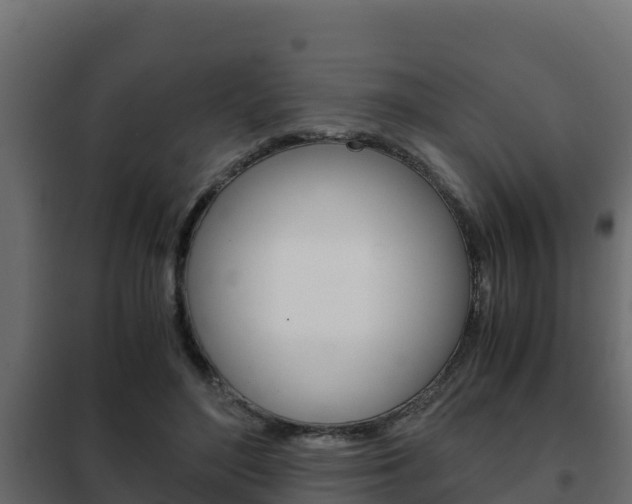 X0000102470500200808081012