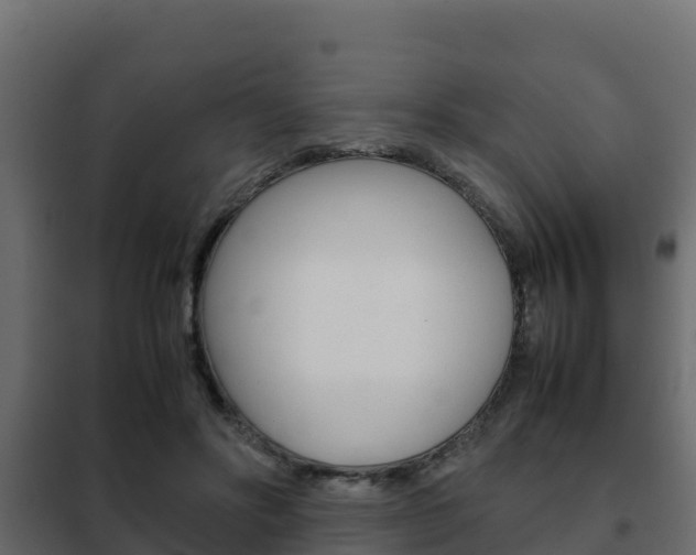X0000102470502200808081012