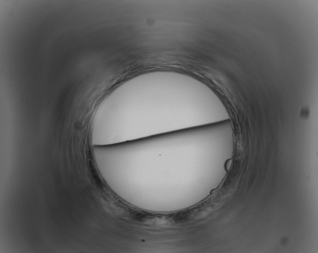 X0000102470503200808081012