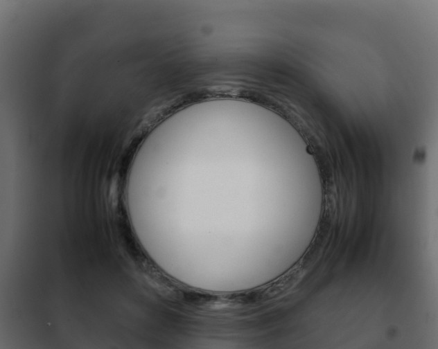 X0000102470504200808081012