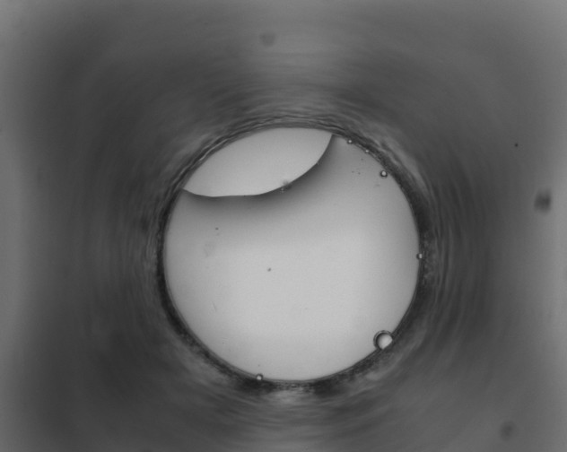 X0000102470505200808081012