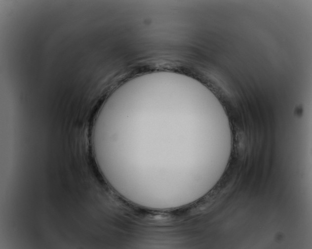 X0000102470506200808081012