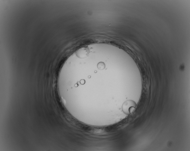 X0000102470507200808081012