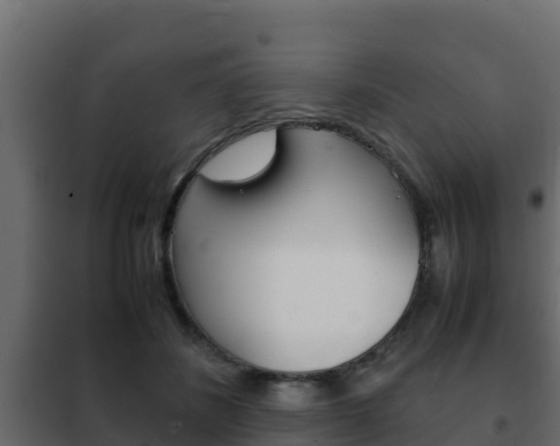 X0000102470508200808081012