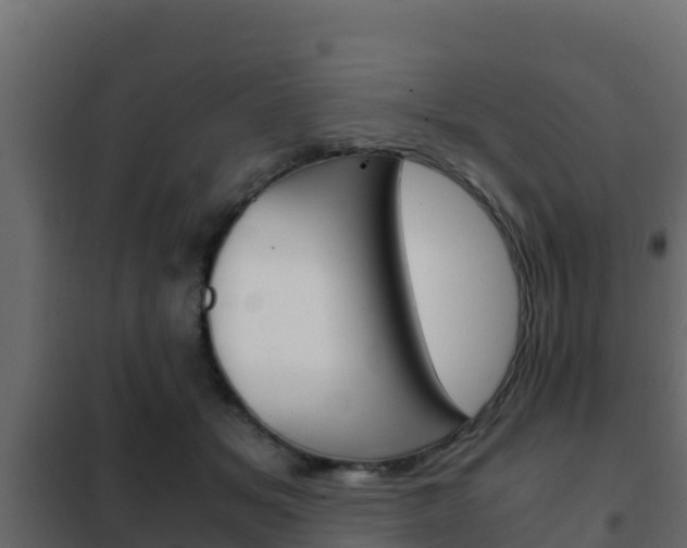 X0000102470509200808081012