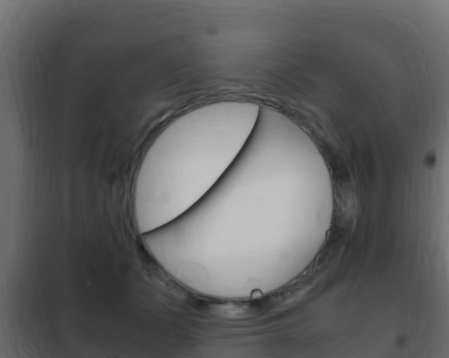 X0000102470511200808081012